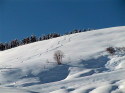 IMG_2454